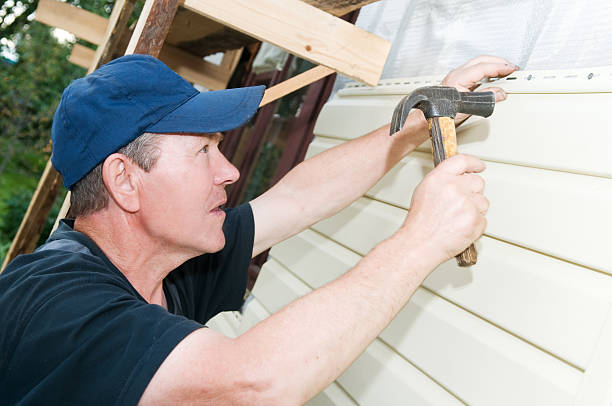 Best Shed Removal  in Fruitland, MD